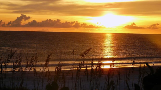Live Like a Local During AMI Summer vacation -